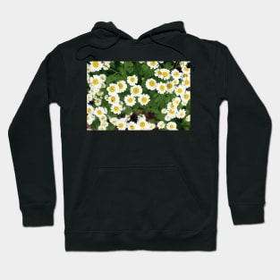 chamomile flowers Hoodie